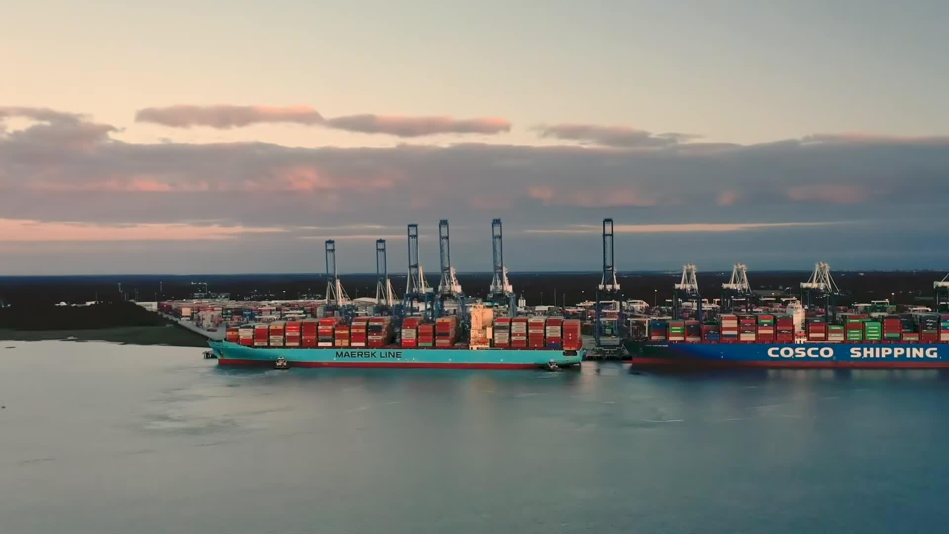 Container terminal cranes at the Port of Charleston