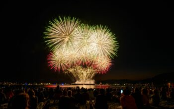 fireworks-2 amazing fireworks show image Number 2